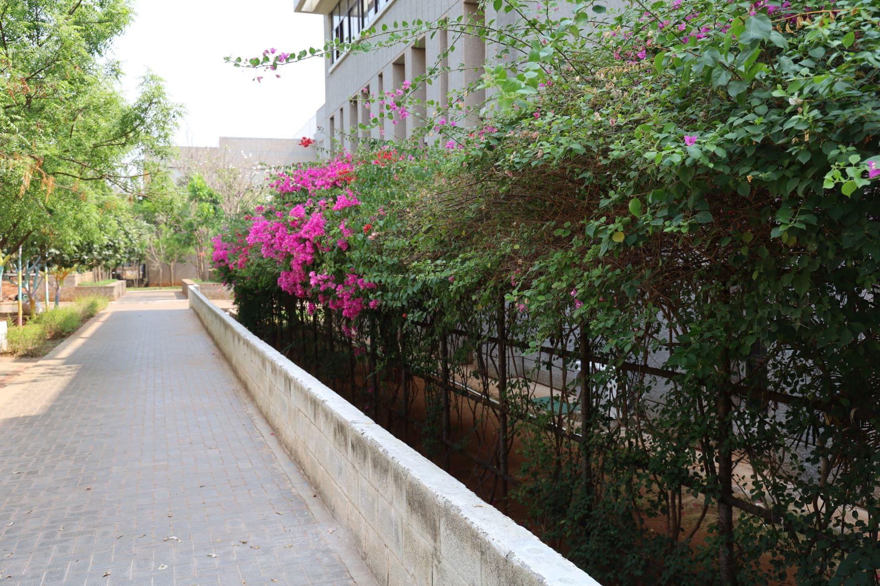 KPRIET Green Candid photo 1