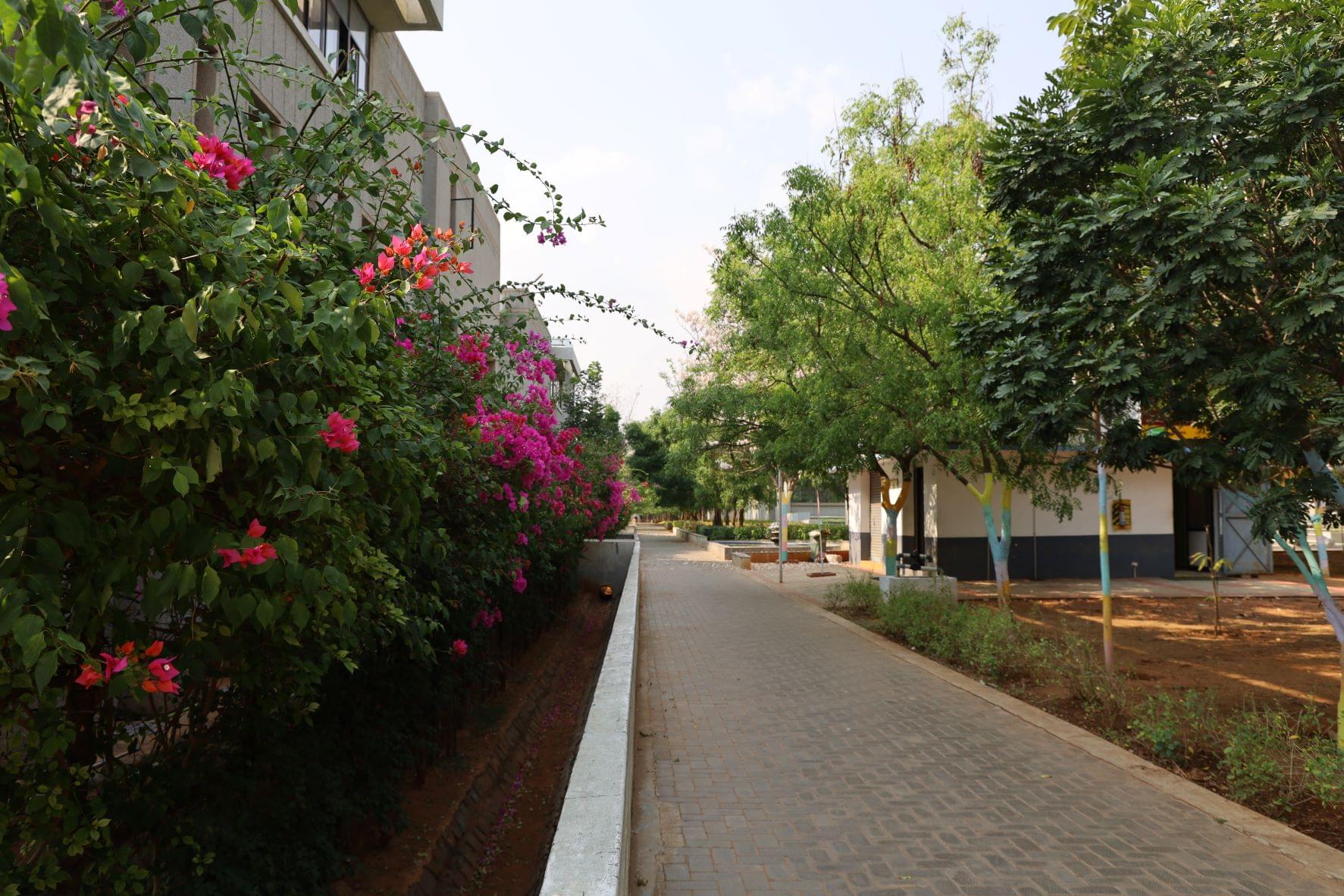 KPRIET Green Candid photo 7