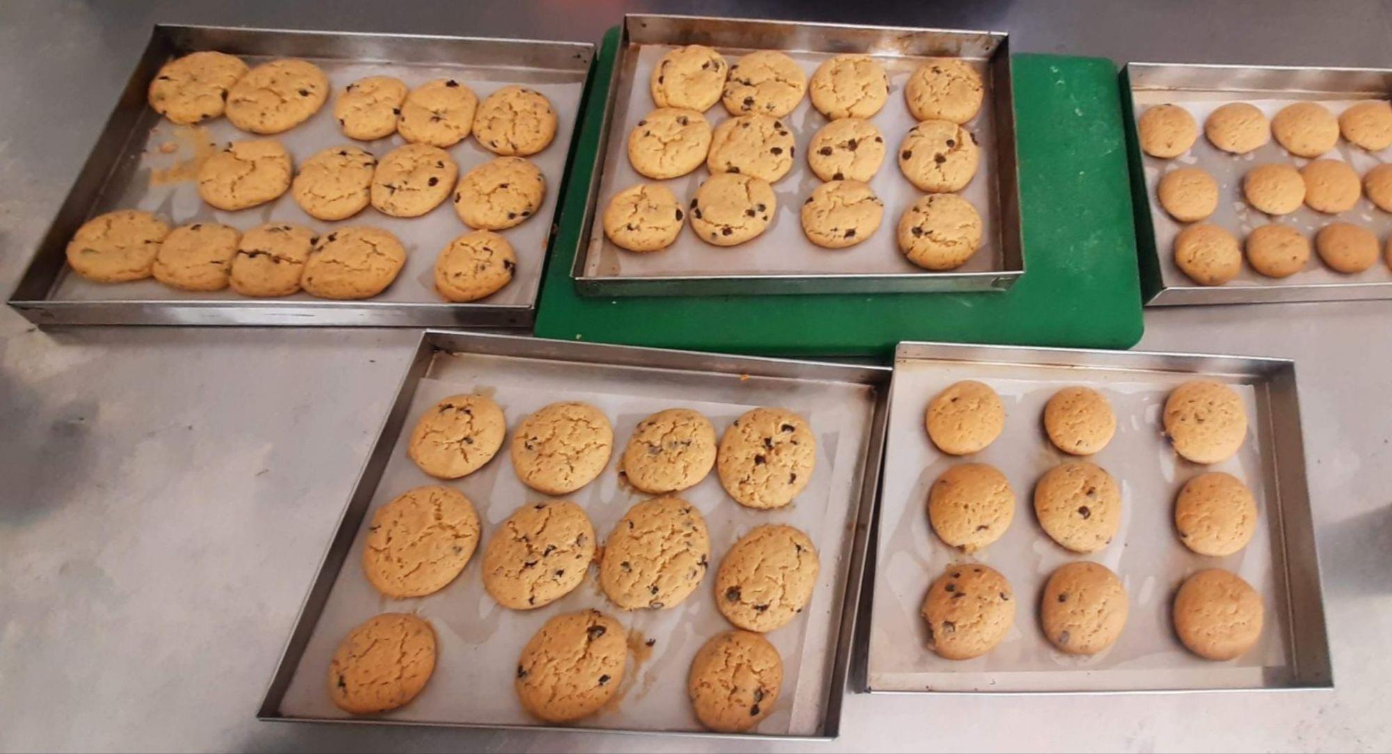 Udaipur Institute of Hotel Management Infrastructure photo 26