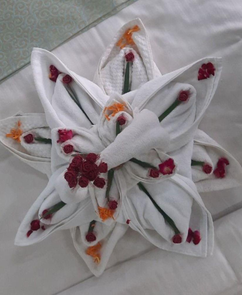 Udaipur Institute of Hotel Management Infrastructure photo 35