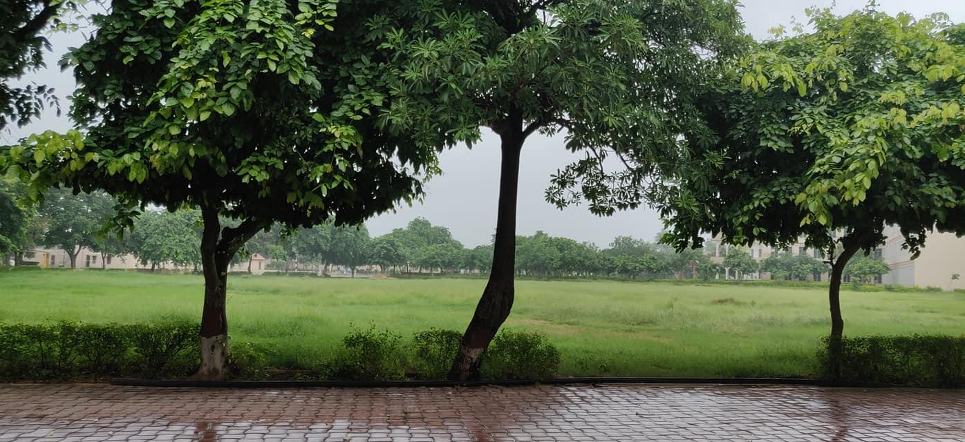 DCE Gurgaon Infrastructure photo 32