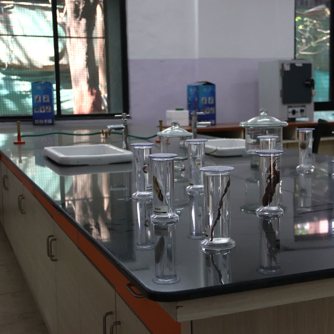 Indira College of Arts, Commerce & Science Pune Infrastructure photo 11