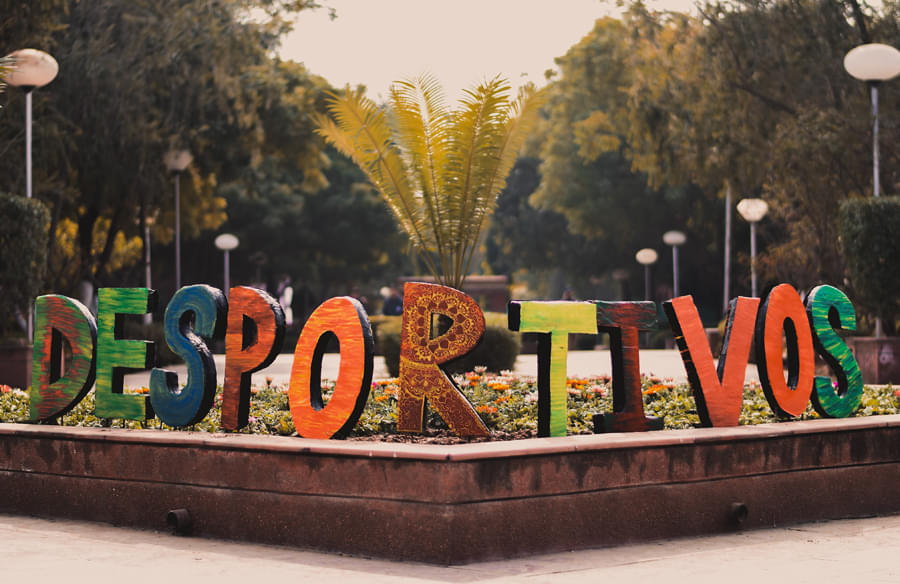 LNMIIT Sports photo 21