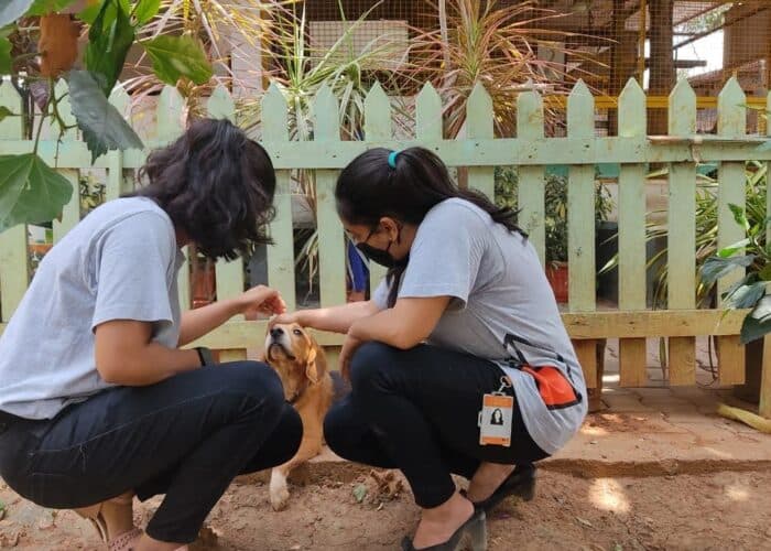 Bangalore School Of Design Extra Curriculars photo 14