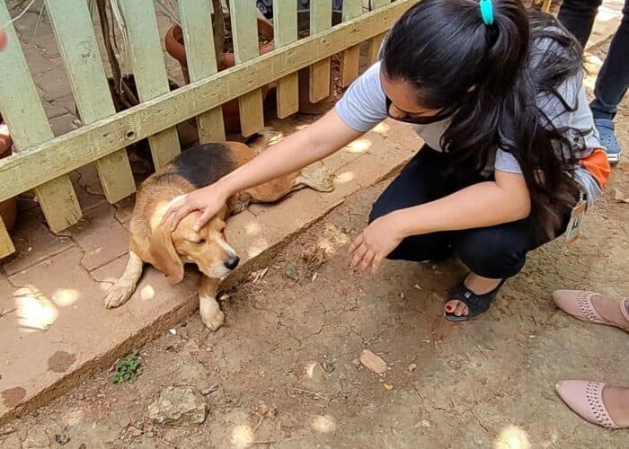 Bangalore School Of Design Extra Curriculars photo 10