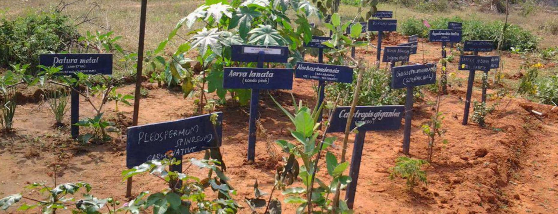 St. Mary's College Of B.Pharmacy Peddapuram campus photo 2