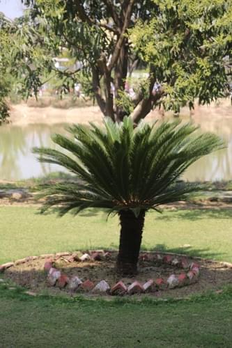 SHEAT Pharmacy photo 7