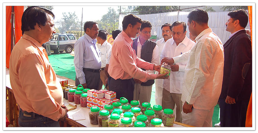 SunRise University Alwar Sports photo 11