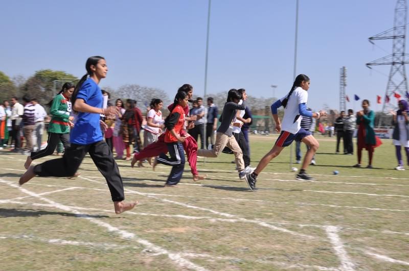 Jan Nayak Ch. Devi Lal Dental College Sirsa Sports photo 11