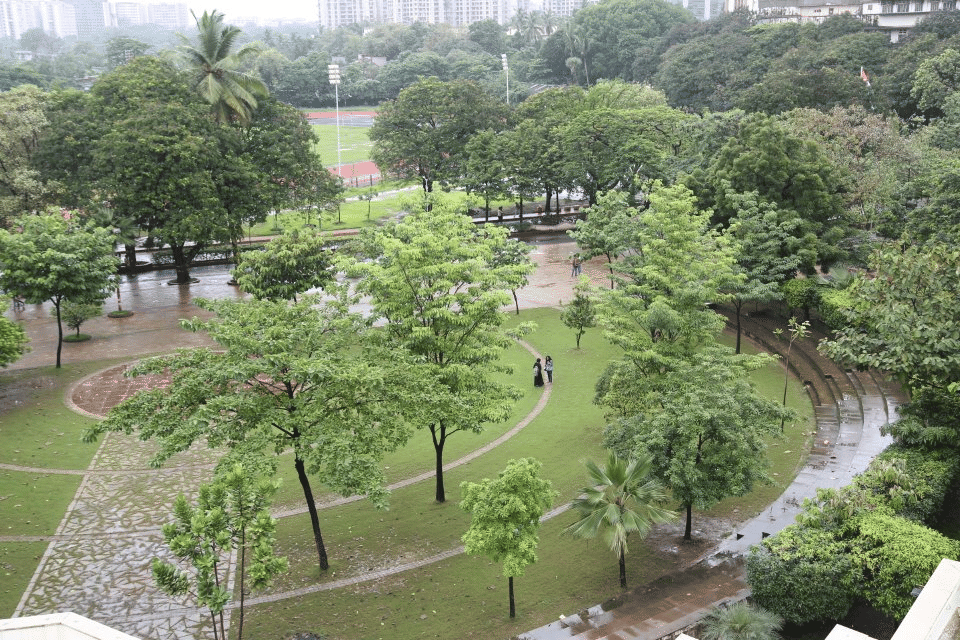 K. J. Somaiya College of Education Mumbai Campus photo 3