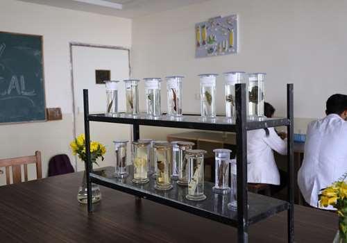 Sanskriti College Jaipur Botany Lab photo 2