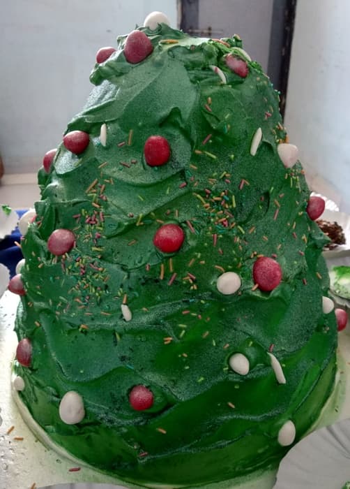 Lords Institute of Management Surat Christmas Celebration photo 5