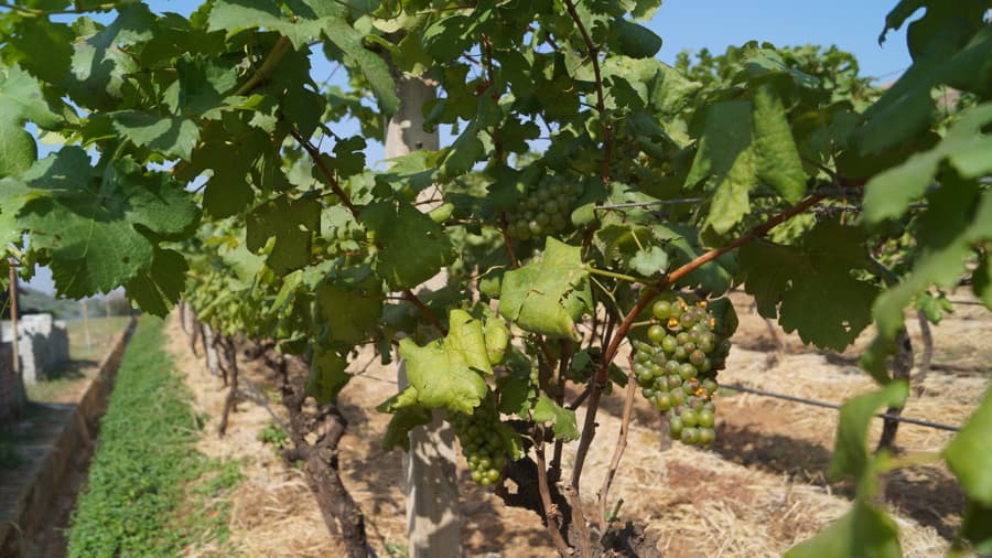 Lords Institute of Management Surat Industrial Visit photo 1