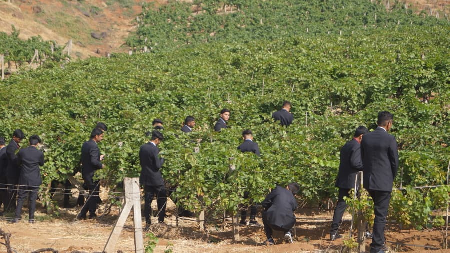 Lords Institute of Management Surat Industrial Visit photo 6