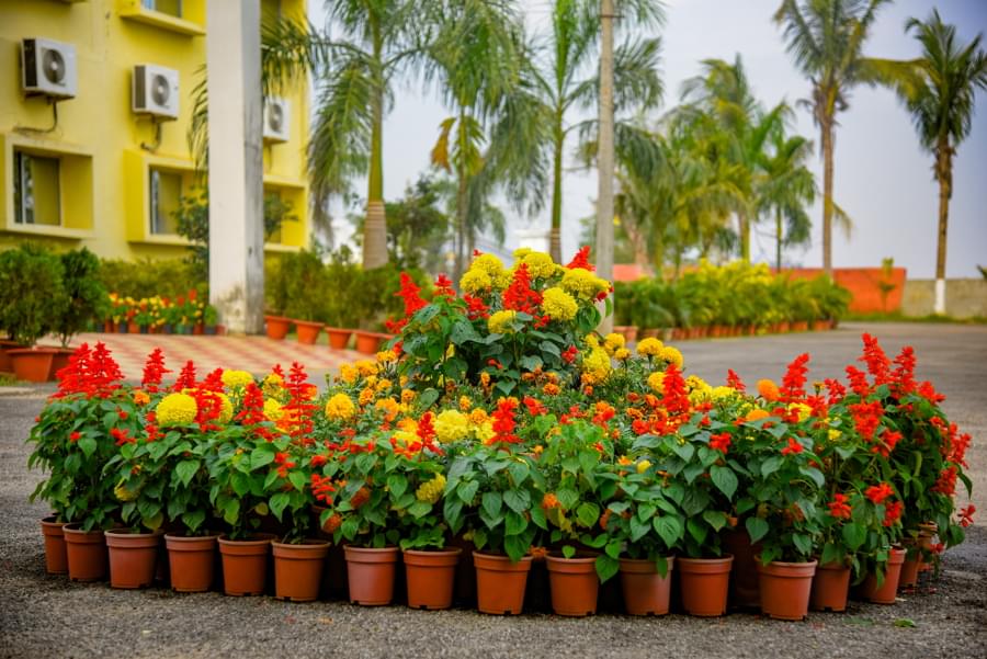 AIET Bhubaneswar Campus photo 2