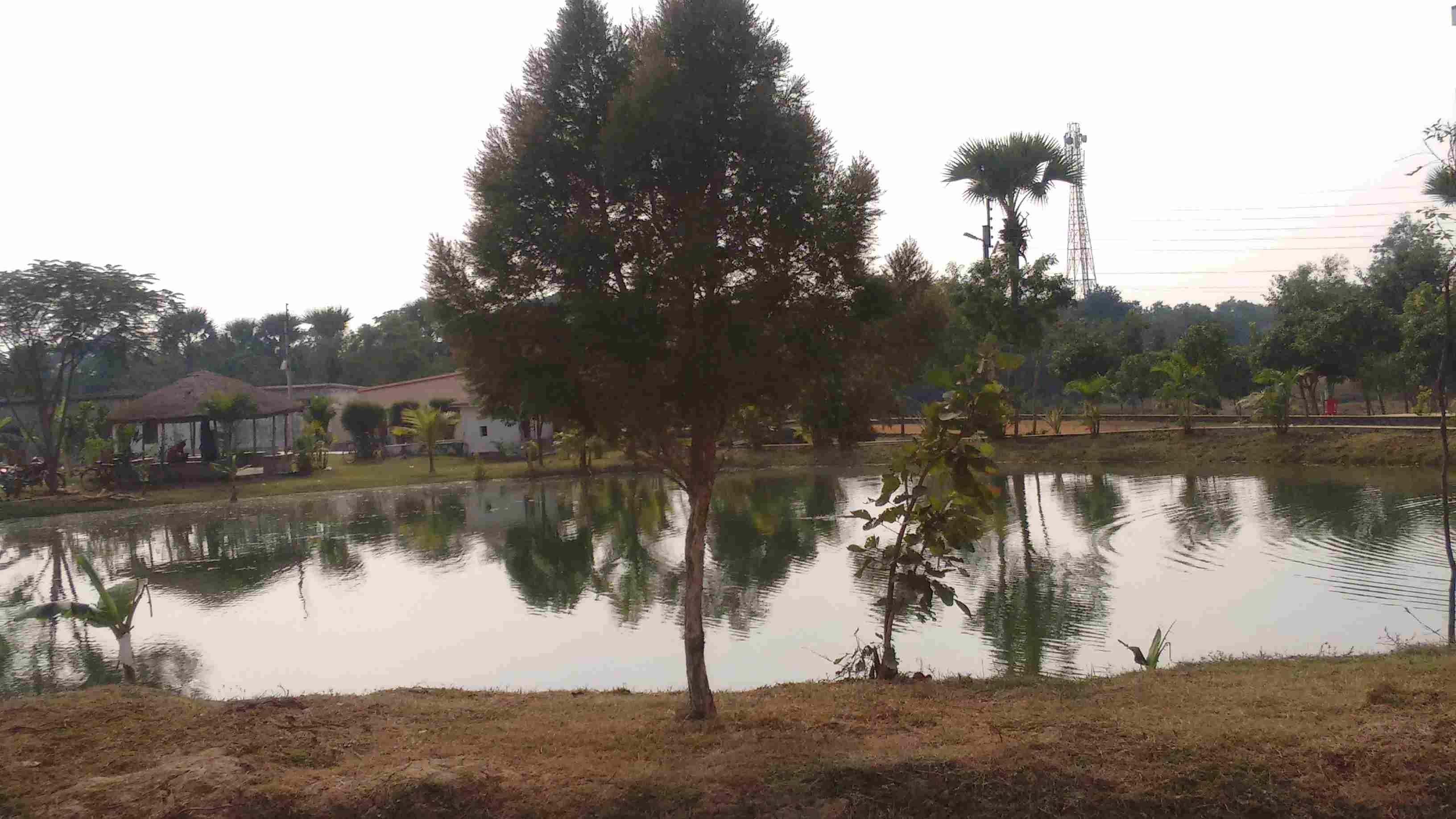 Seacom Skills University Birbhum Campus photo 15