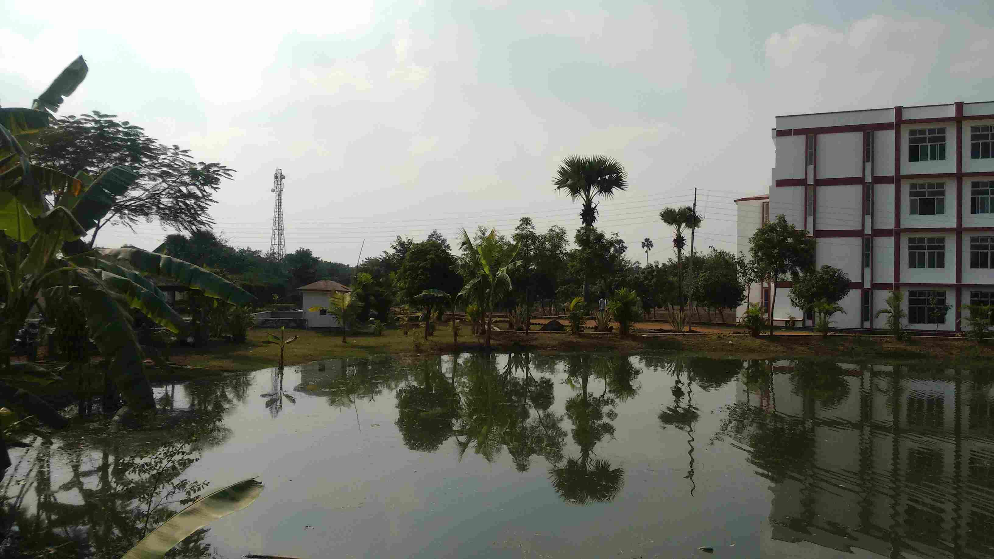 Seacom Skills University Birbhum Campus photo 16