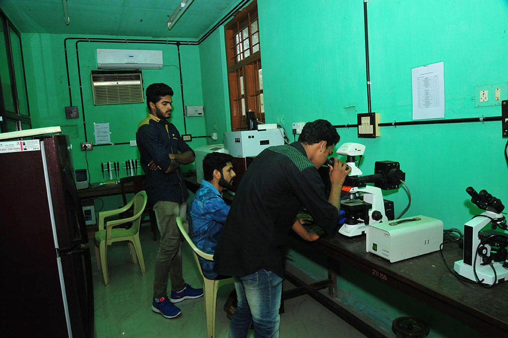 Mahatma Gandhi College Thiruvananthapuram Campus photo 15