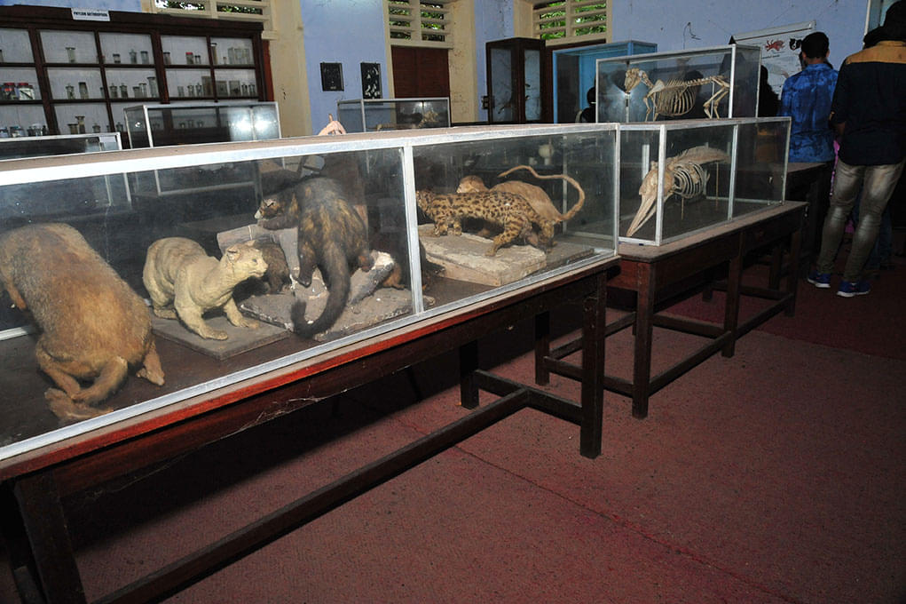 Mahatma Gandhi College Thiruvananthapuram Campus photo 13