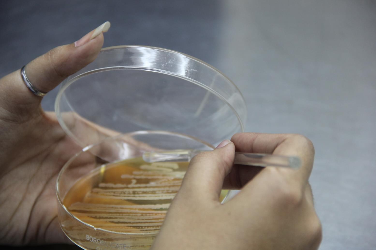 TN Rao College Rajkot Campus photo 27