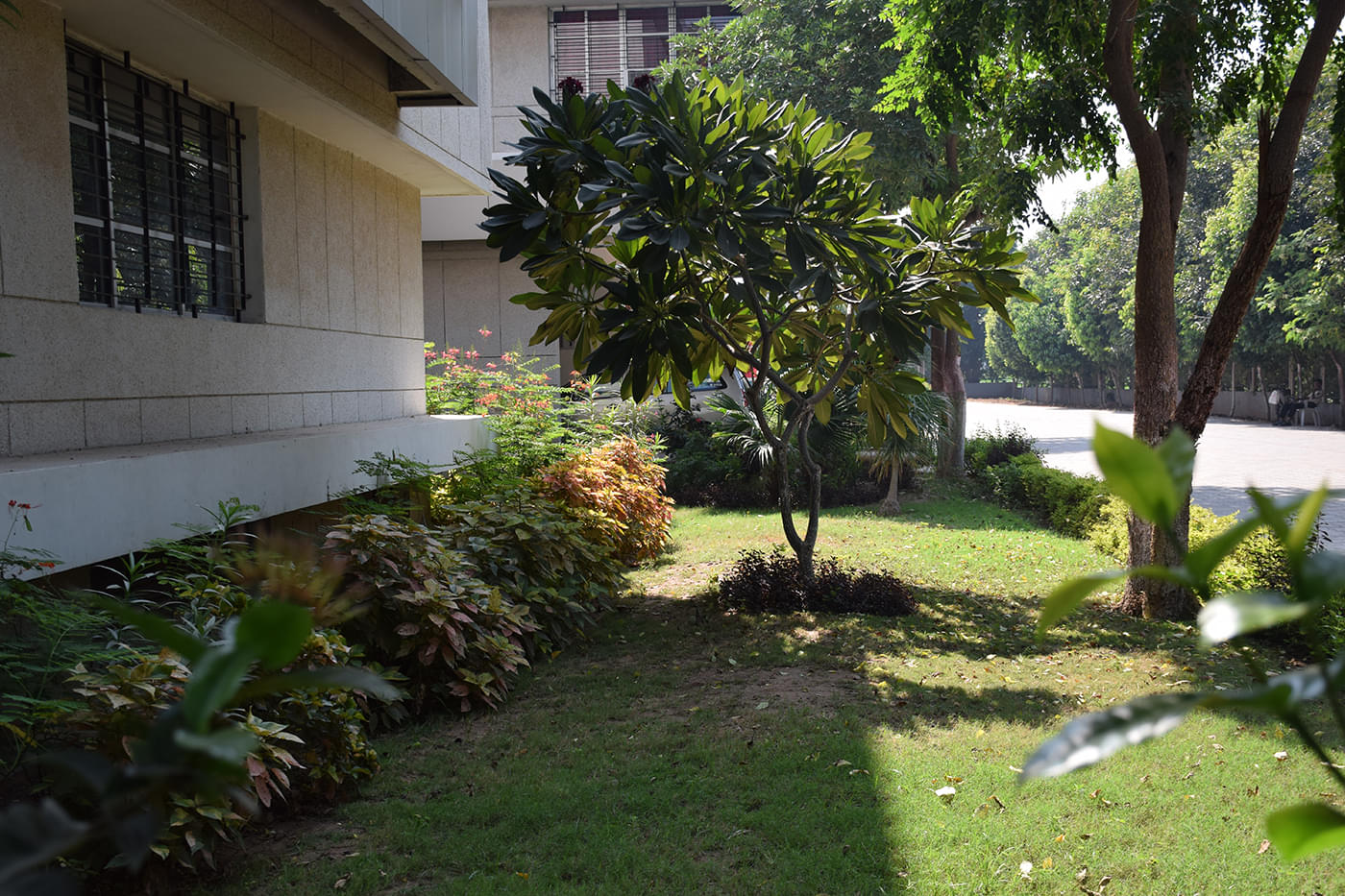 Madhuben & Bhanubhai Patel Institute of Technology Anand Campus photo 12