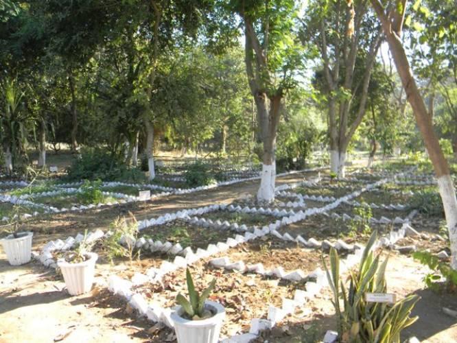 Indukaka Ipcowala College of Pharmacy Anand Campus photo 8