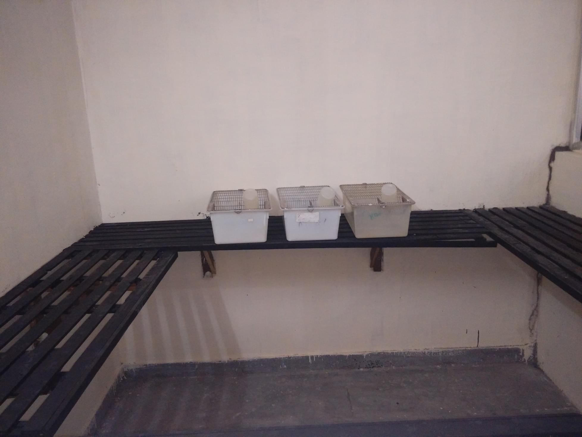 Indukaka Ipcowala College of Pharmacy Anand Infrastructure photo 23