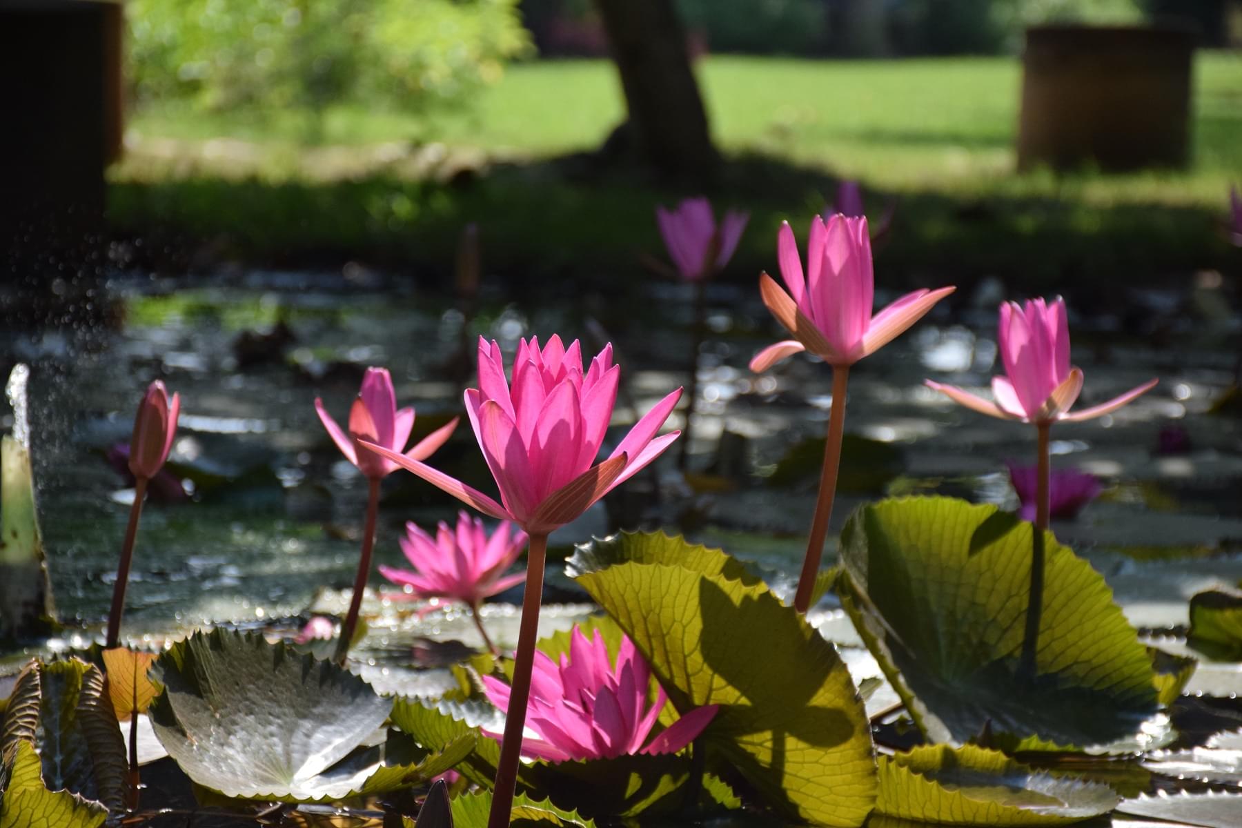 CVM University Anand hostel photo 21