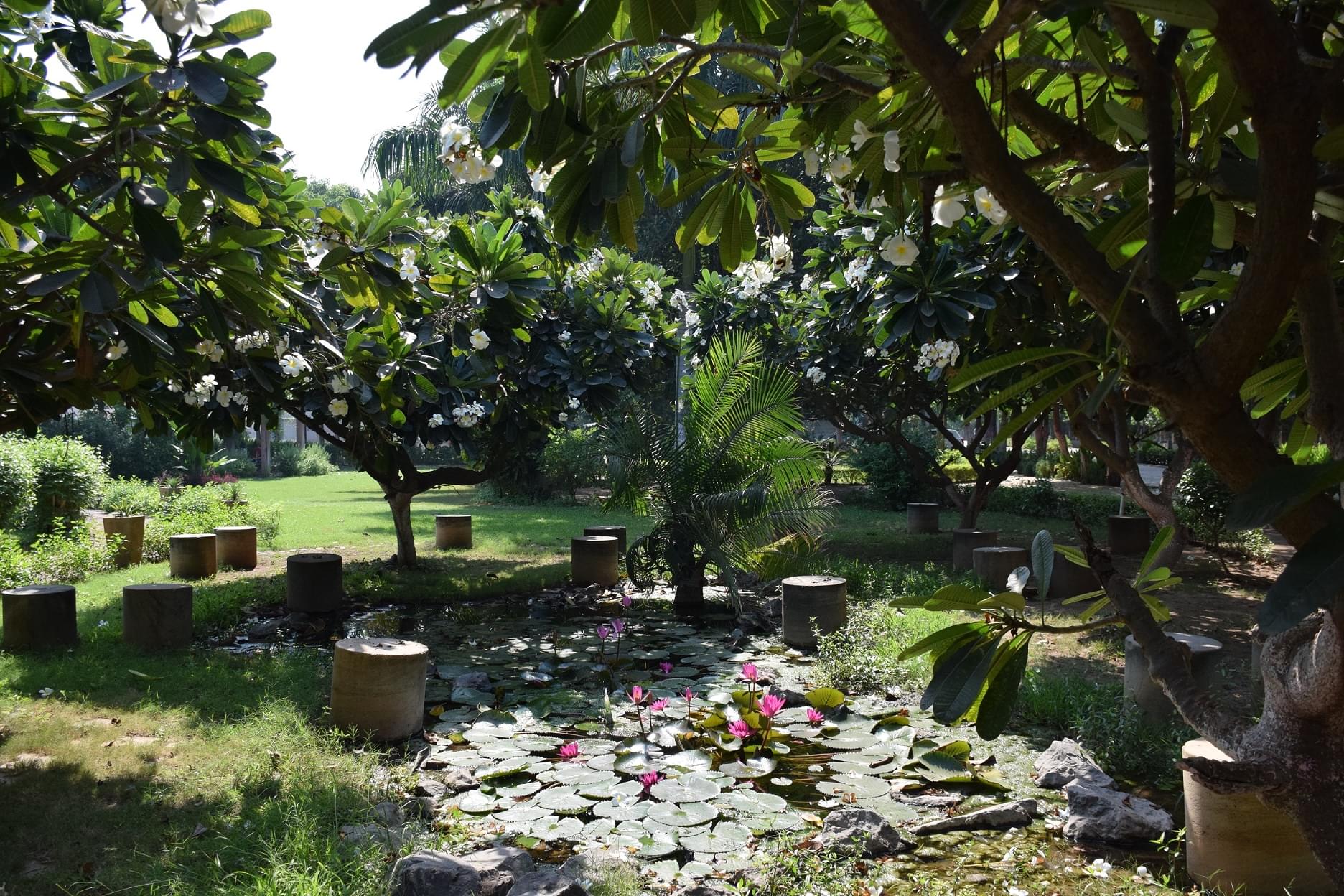 CVM University Anand hostel photo 22