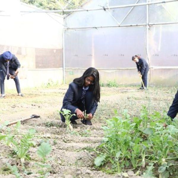 Himalayan Institute of Pharmacy and Research Dehradun Infrastructure photo 12