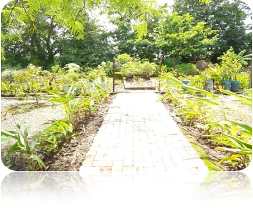 Rofel Shri G.M Bilakhia College of Pharmacy Vapi Infrastructure photo 5