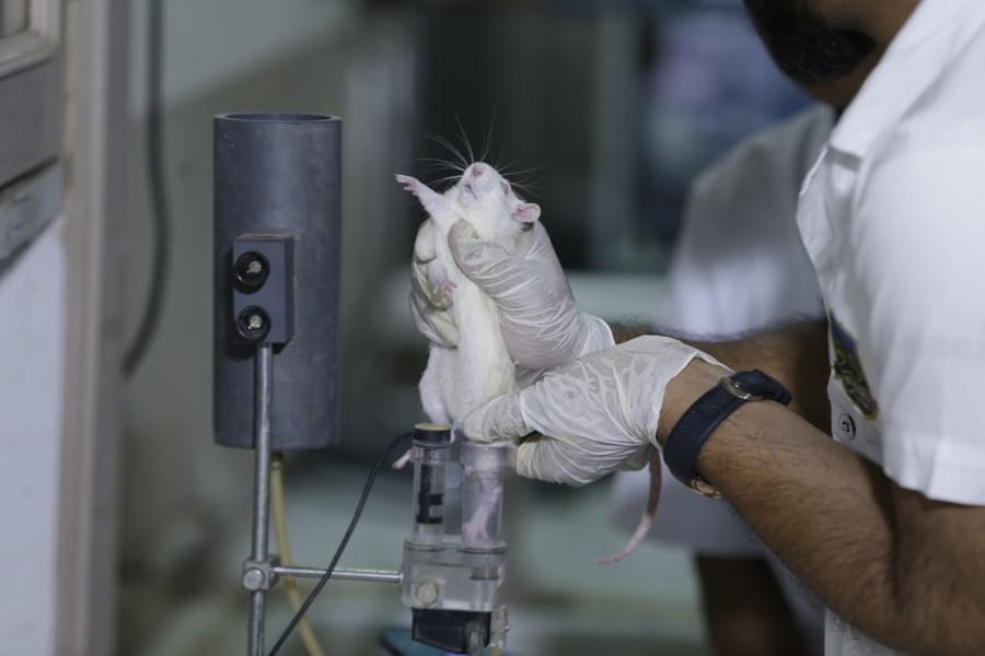 RC Patel Institute of Pharmaceutical Education and Research Shirpur Campus photo 6