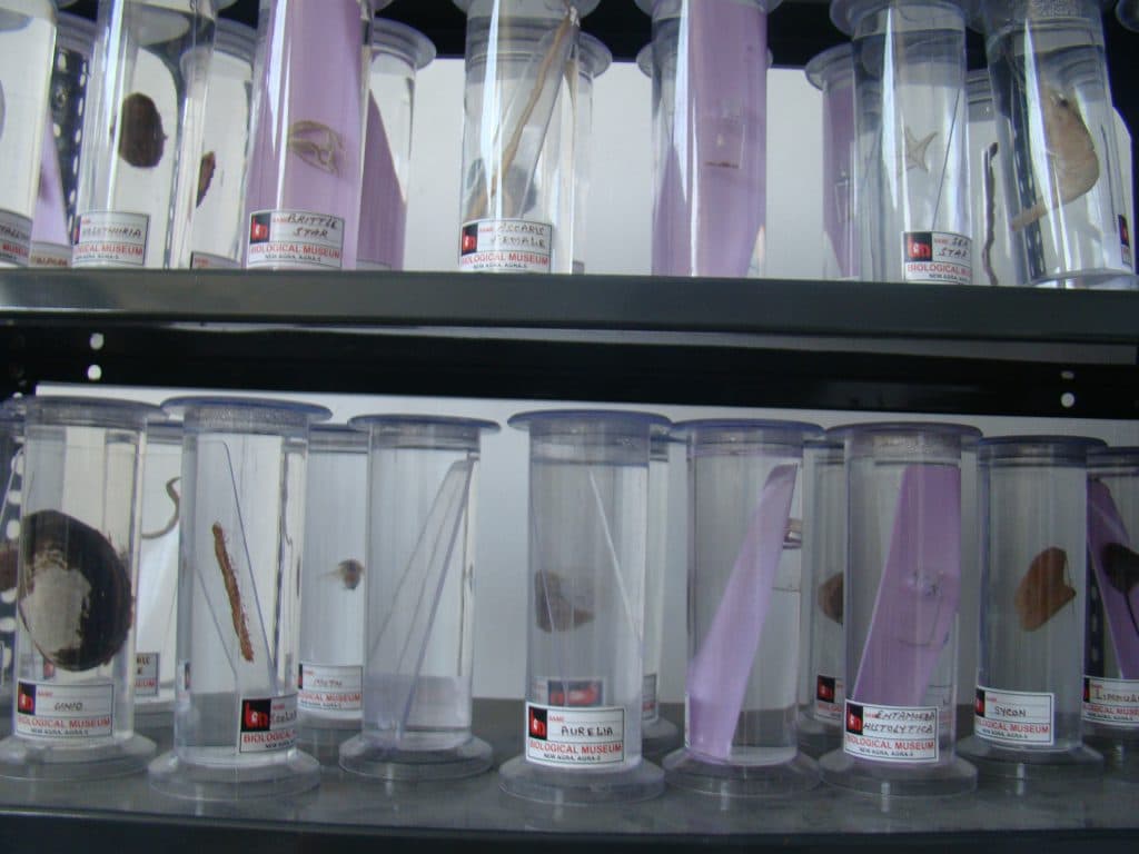 Takshashila Mahavidyalaya Amravati Academic Building photo 9