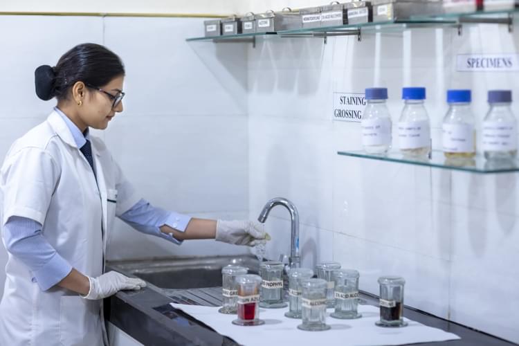 DPMI Vocational Institute New Delhi Student Life photo 69