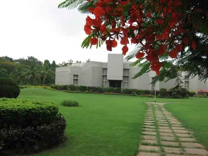 "Tribhuvan" Sahkari University Infrastructure photo 16