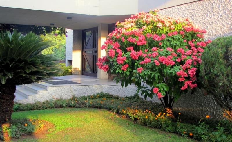 "Tribhuvan" Sahkari University Infrastructure photo 18