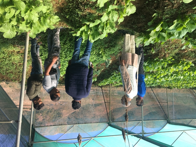Tribhuvan Sahkari University VFS photo 1