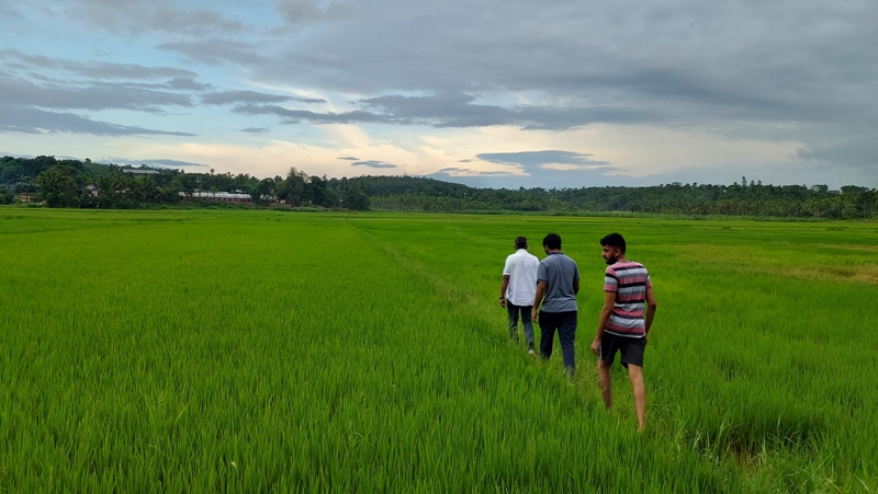 Tribhuvan Sahkari University VFS photo 7