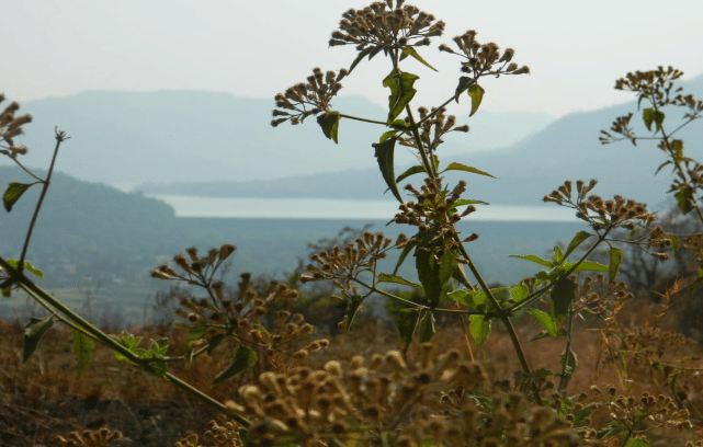 Mulshi Group of Institutes Pune Infrastructure photo 13