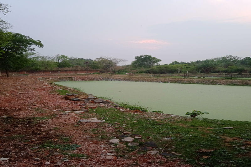 Guru Gobind Singh Educational Society's Technical Campus Bokaro Infrastructure photo 16