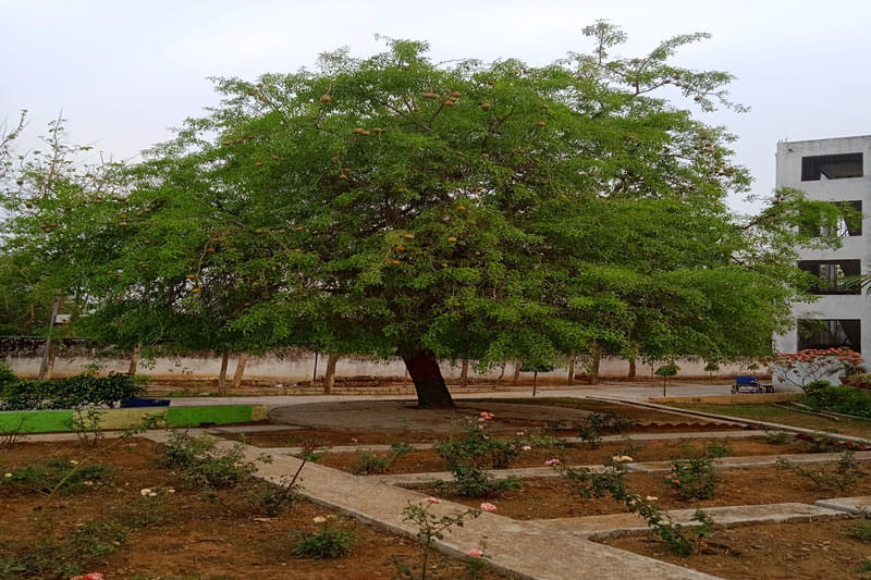 Guru Gobind Singh Educational Society's Technical Campus Bokaro Infrastructure photo 17
