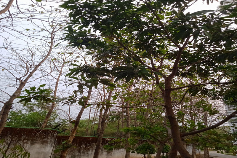 Guru Gobind Singh Educational Society's Technical Campus Bokaro Infrastructure photo 24