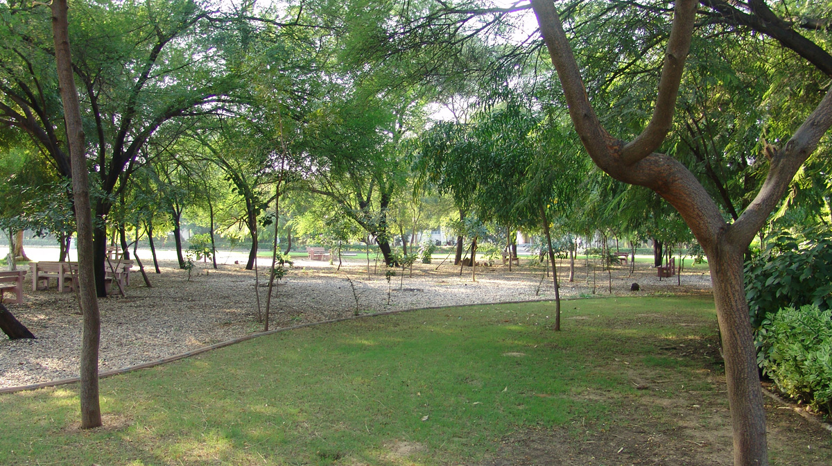 Dhirubhai Ambani University (formerly DAIICT) Campus photo 5