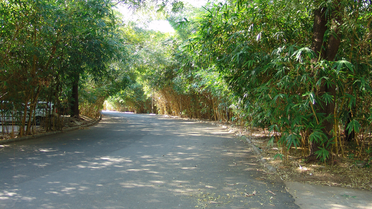 Dhirubhai Ambani University (formerly DAIICT) Campus photo 16