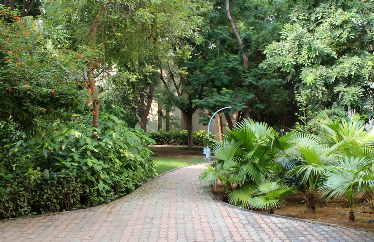 Dhirubhai Ambani University (formerly DAIICT) Campus photo 19