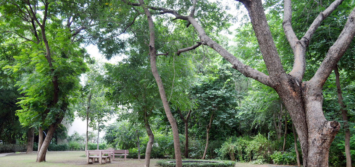 Dhirubhai Ambani University (formerly DAIICT) Campus photo 24