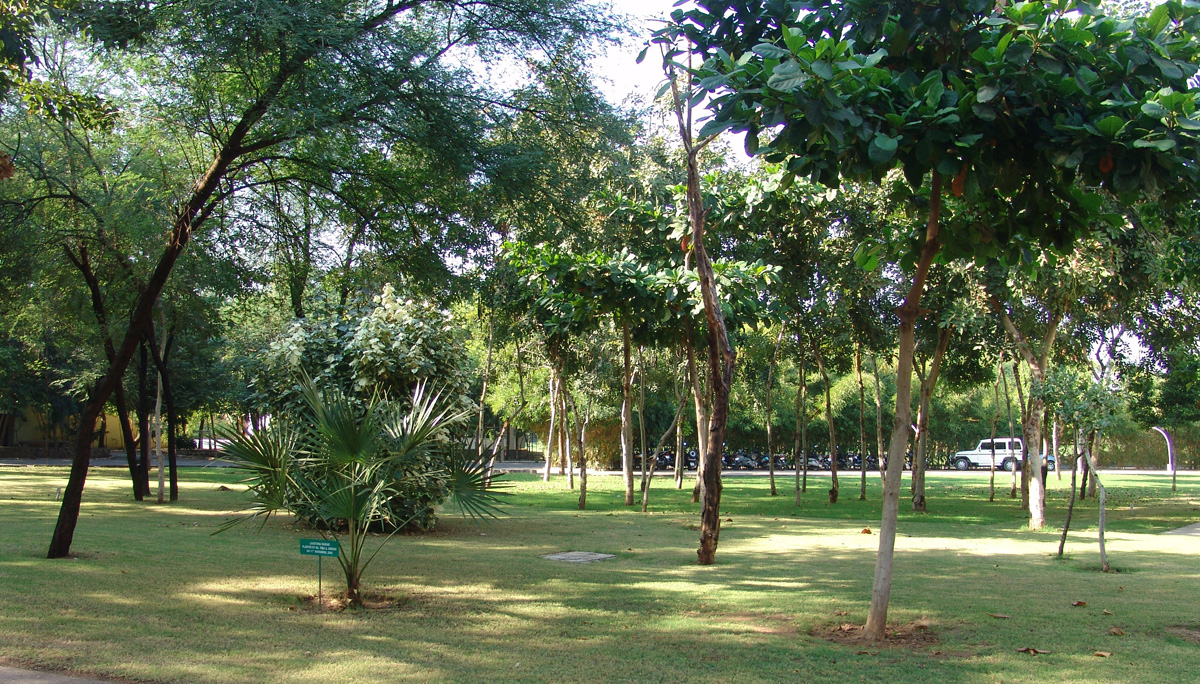 Dhirubhai Ambani University (formerly DAIICT) Campus photo 40