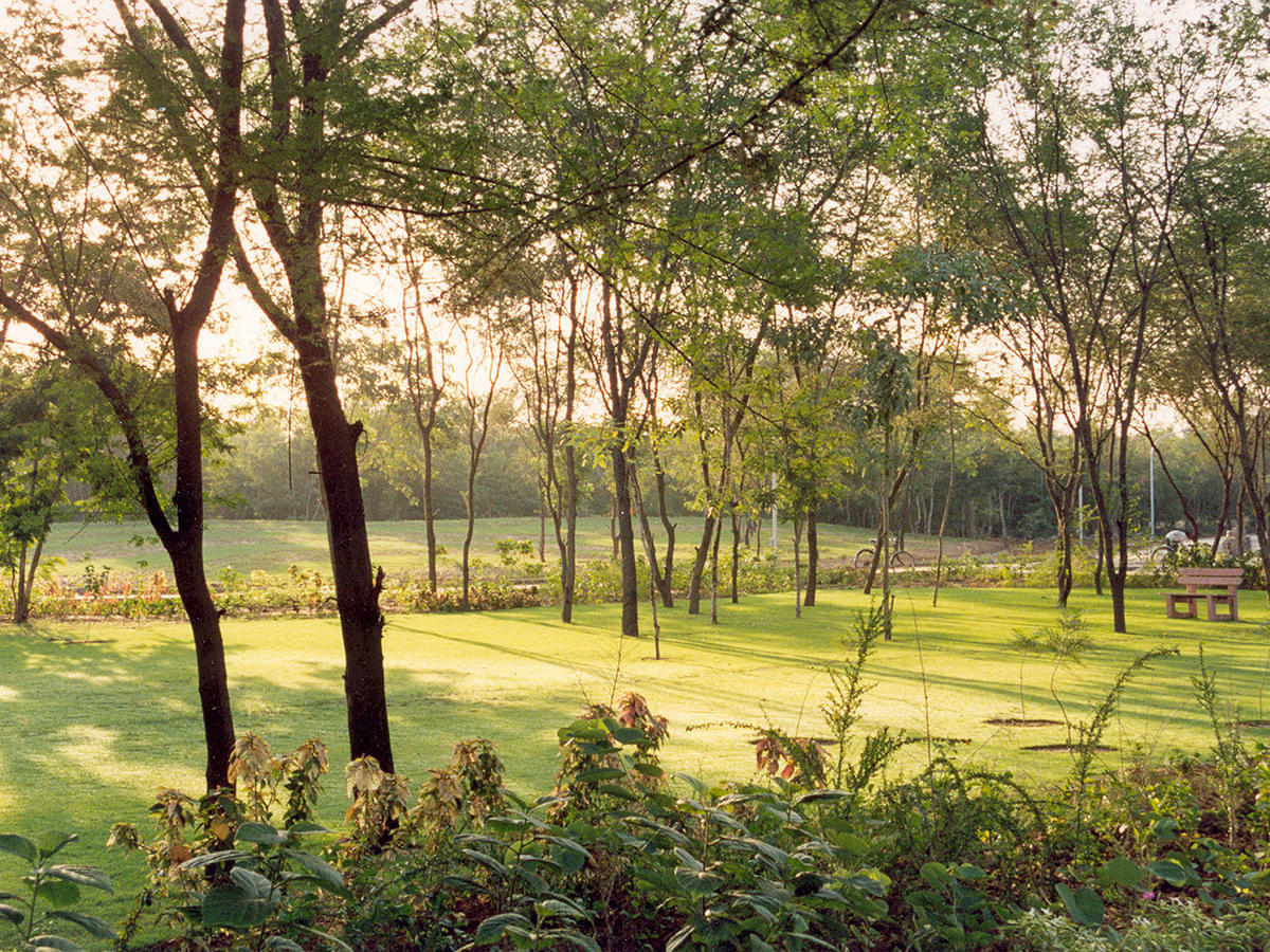 DAIICT Nature photo 2