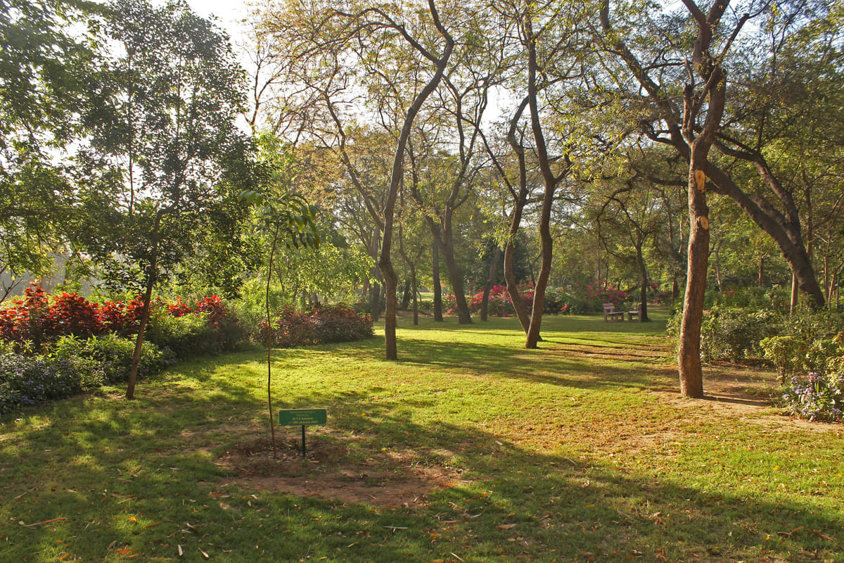 DAIICT Nature photo 6