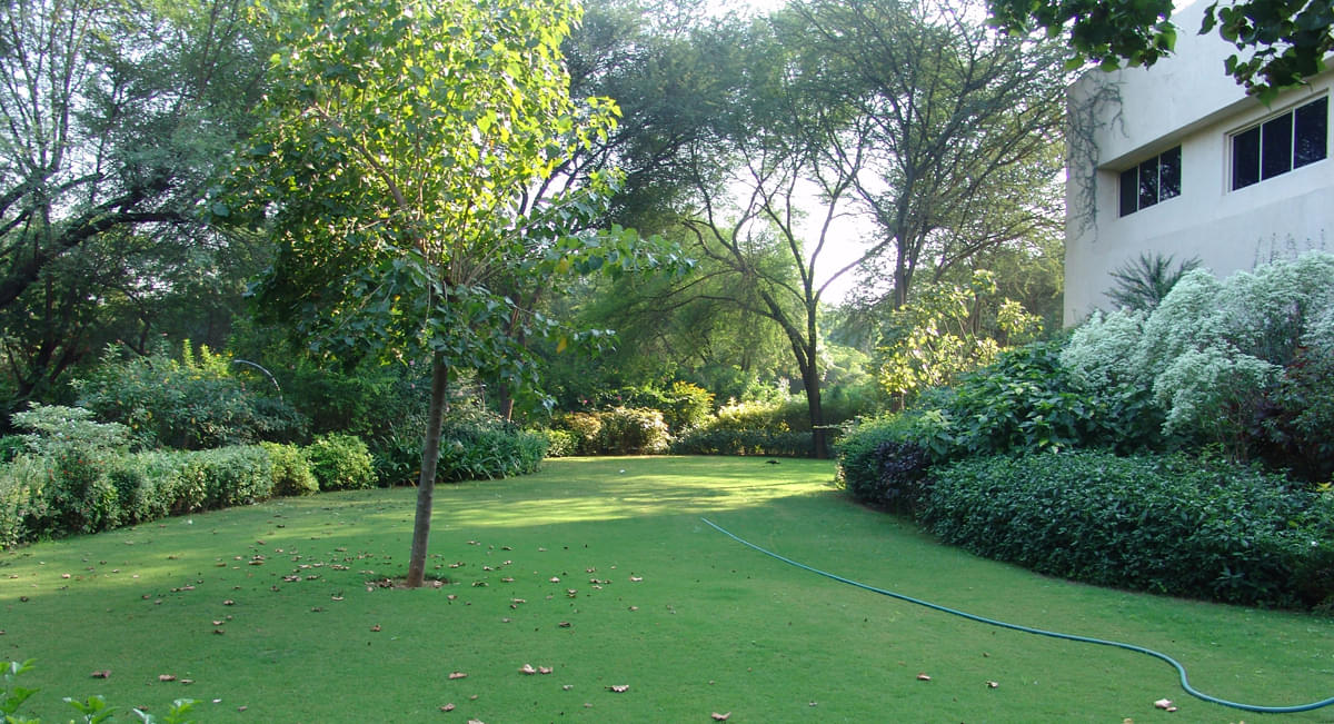 DAIICT Nature photo 9